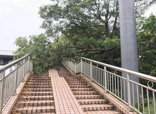 “天鴿”登陸了又怎樣，智彤印刷正常發(fā)放福利！